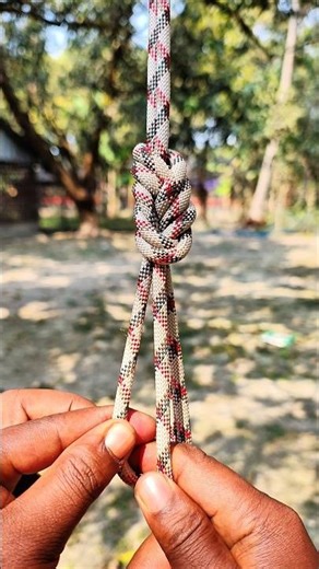 Life-Changing Double Loops,💞