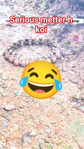 mems #funny #comedy #horror #trending_ #ghost #clips_ #tik #meme_ #meme #memes