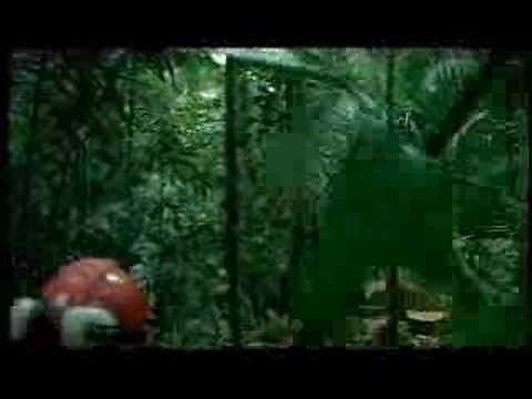 Overview of the Rainforest Alliance