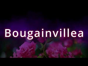 Bougainvillea. Richtige Sprechweise. Korrekte Aussprache. Gutes Deutsch. Von TV-Profisprecher.