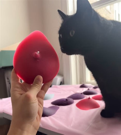 Boob Candles by CandleTit LLC on Instagram: "Each CandleTit goes through a thorough qualititty kitty inspection. Nothing but the breast gets shipped out to our communititty. Order yours for friends, family, enemies, bosses, grandma, grandpa whoever lights your t!ts up. #shopsmall #smallbusinesssaturday #smallbusiness"
