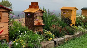 1.4M views · 34K reactions | Imagine harvesting your very own raw, fresh honey...   We love to help newbees discover the fascinating world of bees and beekeeping. Pop over and check out TheBeekeeper.org to get started on your beekeeping journey today  | Flow Hive | Facebook