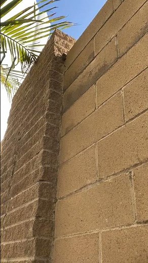 Can Rats Climb Walls? | Los Angeles Rodent Control | Versa-Tech PM