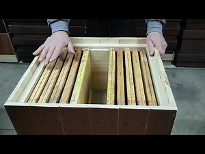 #1 Is this an ecological trap for varroa mites in production colonies?