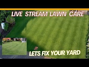 Dont be a lawn care victim #lawn care live
