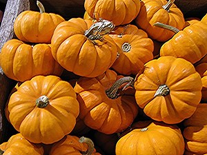 Haunted House In Fairless Hills Among Local Weekend Happenings