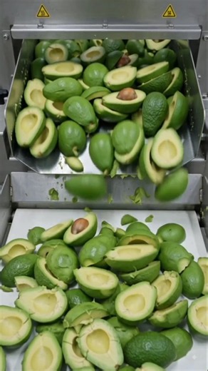 Inside a Modern Avocado Oil Factory 🥑🏭 | How Avocado Oil Is Made | AI Factory