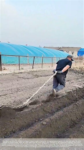 Pulling the Plow: How Two Farmers Work Together to Till the Land
