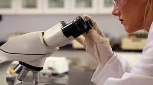 Young Scientist Looking Through Microscope Lab Stock Footage Video (100% Royalty-free) 8561287 | Shutterstock