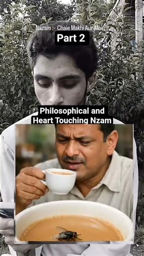 Chaie , Makhi Aur Main (part -2) | Nzam | Aadil Ayoub Poet | Shayari | Truth |