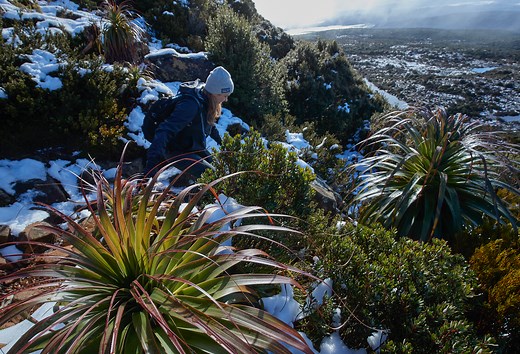 Huon Valley's Caves, Walks and Forests - The Huon Valley Southern Tasmania