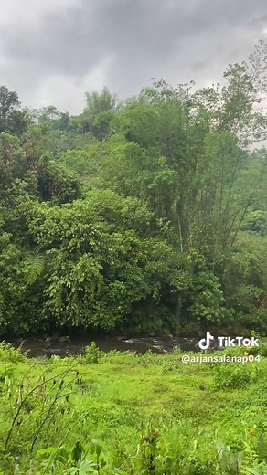 Beautiful Nature Video Compilation for Relaxation