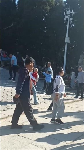 Epic Chinese Dragon Head Close-Up! 🐲