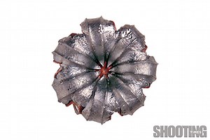 Hollowpoints: Myths & Facts - Shooting Times