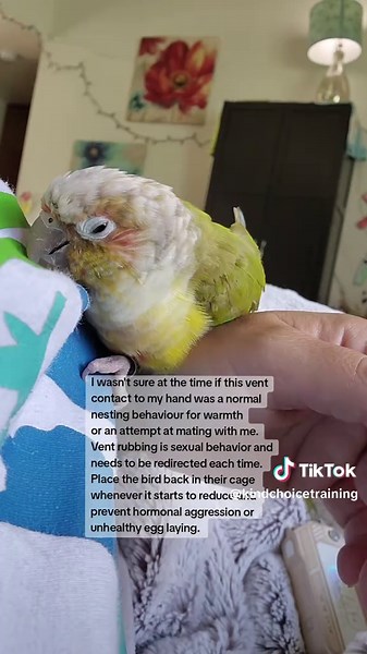 Understanding Bird Behavior: Vent Rubbing Explained