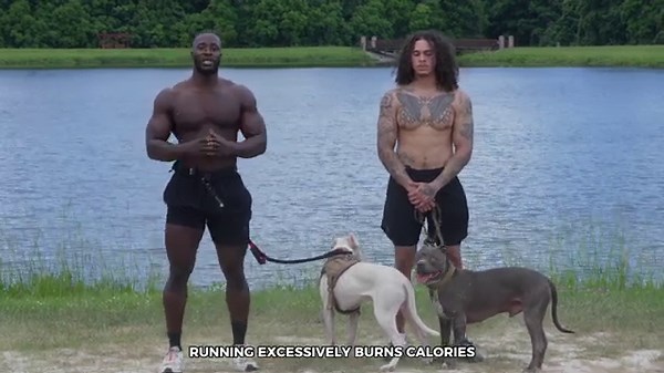 Beginner's Guide to Running with Your Dog