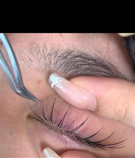 2.8K views | volume lashes sample 0. 07 Sample trays and custom...