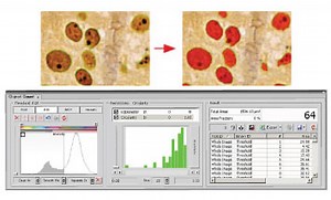 How to Optimize Imaging with Nikon Elements Software, Part 2