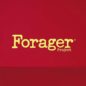 Get $1 off Forager Project dairy-free, organic, cashewgurt on your next trip to Whole Foods. | Forager Project