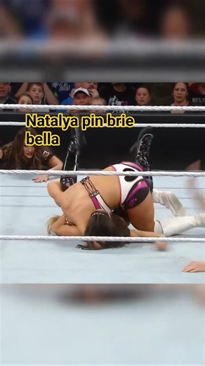 Natalya pin brie bella