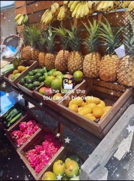 Exploring the Toucan Blooket Trend