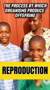 27K views · 596 reactions | Science quiz #science #terminology #scientific #learn #generalknowledge #teacher #tutor #students | Learn with Austin | Facebook