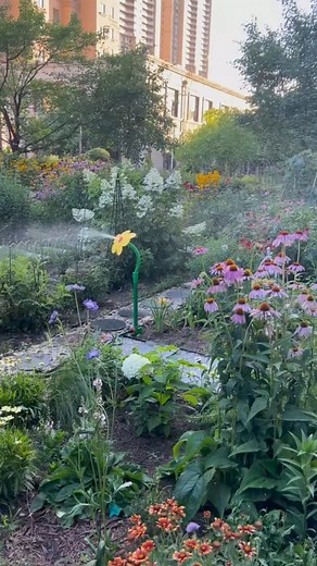 🌿 Plant Insight Community on Instagram