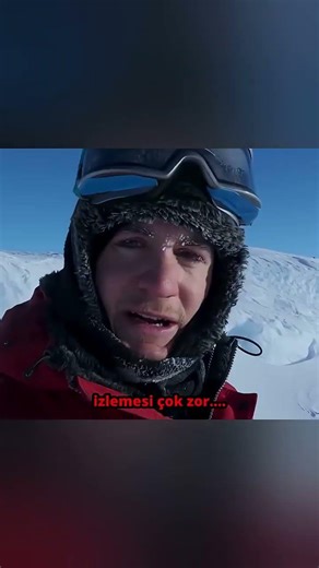 penguen films 2007 #penguin #piqivin #penguen