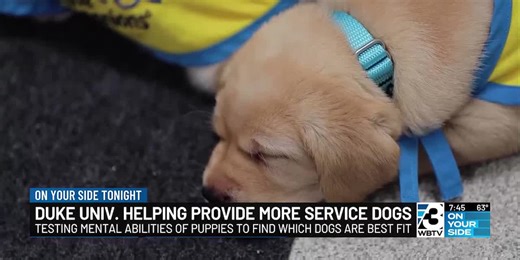 Duke university helping provide more services dogs