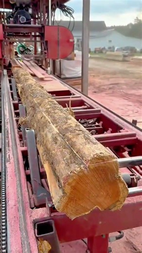 Precise Lumber Milling Process Using a Specialized Band Sawmill