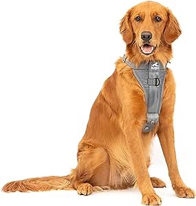 Kurgo Enhanced Strength Tru-Fit Smart Harness, Charcoal, Extra Large | Crash Tested Car Harness for Dogs up to 75Lbs, Seatbelt Tether & Steel Carabiner, All-Steel Buckles, Padded Chest for Comfort