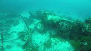 Japanese navy airplane Emily seaplane in WW2 Chuuk (Truk lagoon), Federated States of Micronesia (FSM). Here is the world's greatest wreck diving destination.