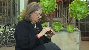 Baby boomers and social technology