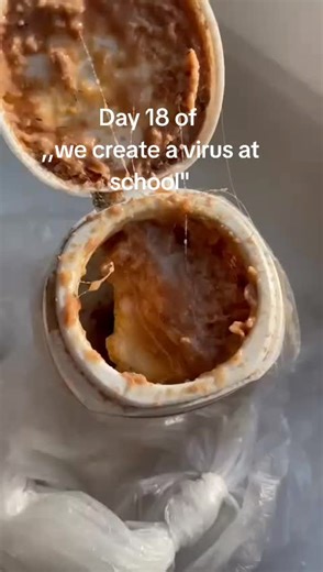 Creating a School Project on Viruses