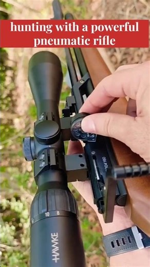 hunting with a powerful pneumatic rifle ...