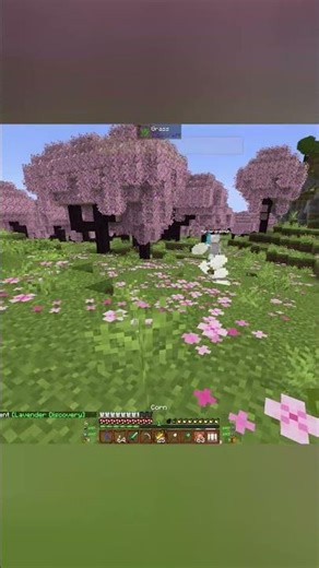 Serenity Farty Bum Bums #minecraft #minecraftshorts