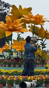 1.5M views · 10K reactions | Xin lỗi Đà Lạt vì đã gây tắc đường 藍 Duyệt CT mà còn bắt hát Tái Sinh nữa, Tái chanh ở khắp mọi nơi  Hẹn gặp khán giả Đà Lạt tối nay với Lễ Hội Áo Dài : Hoa Và Em 鹿 #lehoiaodaidalat2024 #hoavaem | Tung Duong | Facebook