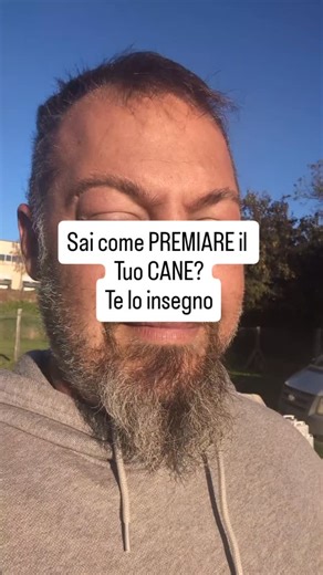 Dnalpha on Instagram: "Questi particolari fanno la differenza Dividere Premio conferma e libera farà capire meglio al cane e migliorerà la tua comunicazione con lui!❤️ #dog #dnalpha #pets #animals #dogtraining"