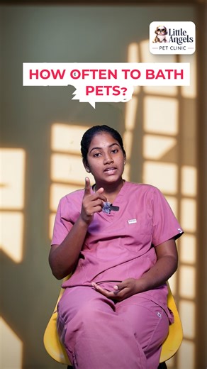 🛁🐾 How Often Should You Bathe Your Pet? Bathing your pet too often can strip natural oils and cause dry, itchy skin, while bathing too little can lead to dirt buildup, bad odour, and skin infections. The right bathing schedule is essential for a healthy coat and happy pet. General Pet Bathing Guidelines: 🐶 Dogs: Every 3–4 weeks (or as recommended by your veterinarian) 🐱 Cats: Usually every 4–6 weeks or only when necessary 🐾 Active or outdoor pets may require more frequent baths 🐾 Pets with