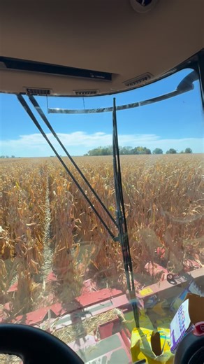 Cale Carlson on Instagram: "Testing the skills of the Grain cart driver"