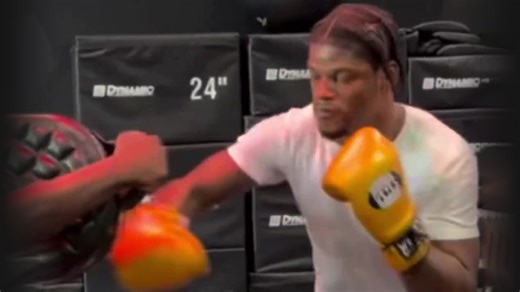 Lamar Jackson takes up BOXING with NFL star spotted in training