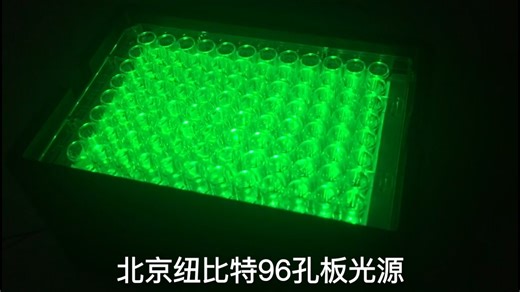 LED96孔板，细胞光毒性光源