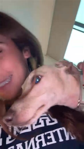 1.2K views · 34 reactions |  Finn is deeply loved by his foster mom...