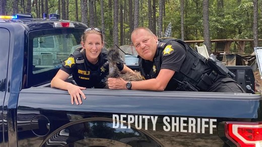 Loose emu captured in Lower Richland: Social media tells the story