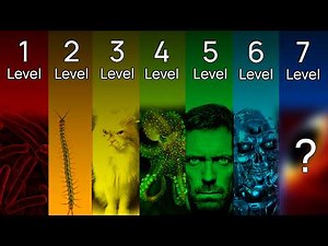 The Gradient of Consciousness Explained