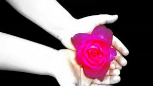 FEEL MY LOVE Lyrics - TEN SHARP | eLyrics.net