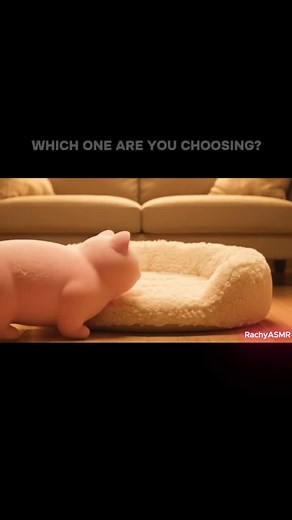 Rachy AI ASMR on Instagram: "The last one looks so cuddly ☺️ #asmr #aiasmr #wouldyourather #oddlysatisfying #cats"