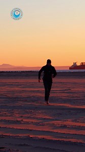 Seal Rescue Patrol Montage #ocn #oceanconservation #sealrescues #plasticpollution #raisingawareness | Ocean Conservation Namibia