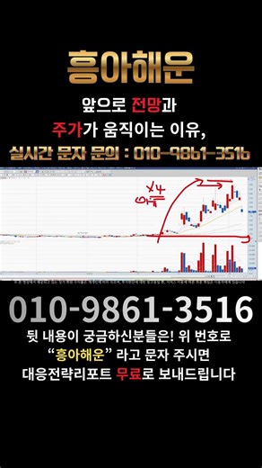 흥아해운 지금 사면 늦을까? 최대주주 5,000억 물량 걸린 폭등 타점 #급등주 #주식 #테마주 #흥아해운 #흥아해운주가 #흥아해운전망