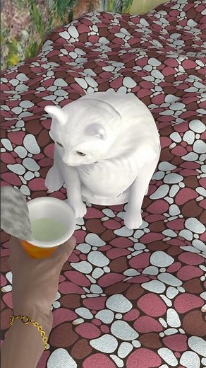 3D white cat throwing up meme